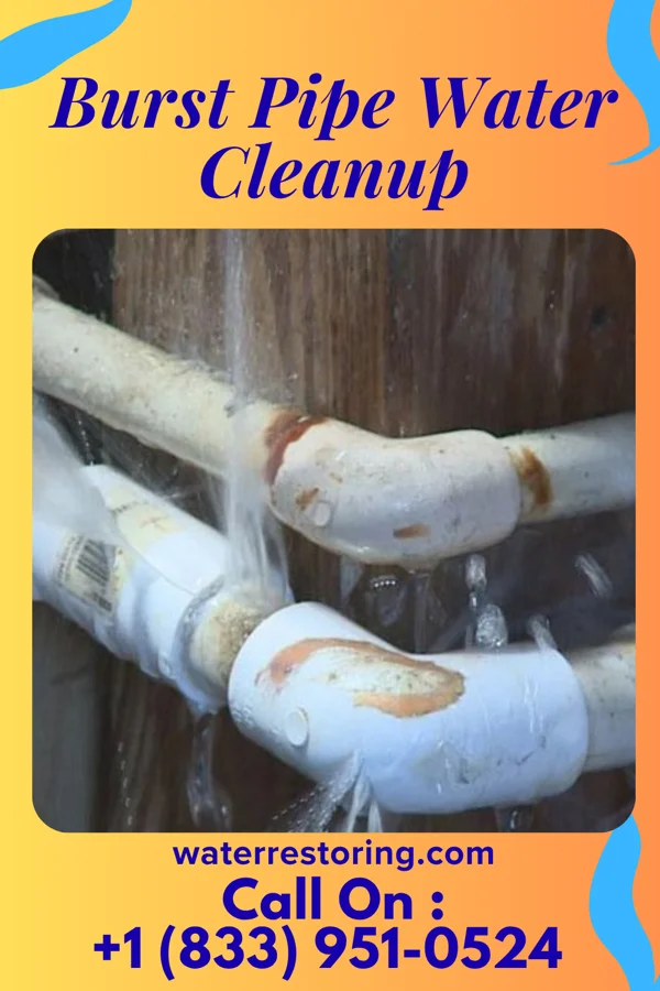 Burst Pipe Water Cleanup in Lavina, MT