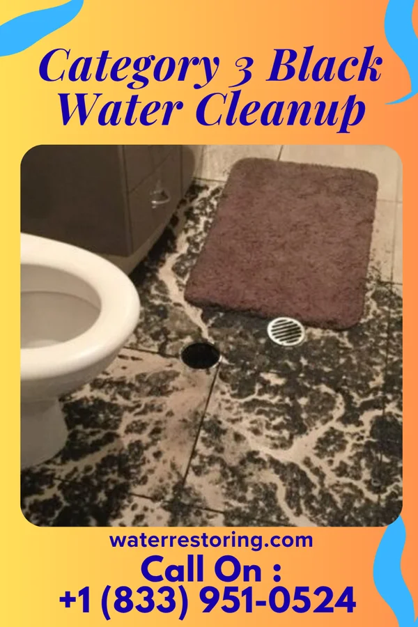 Category 3 Black Water Cleanup in Lavina, MT
