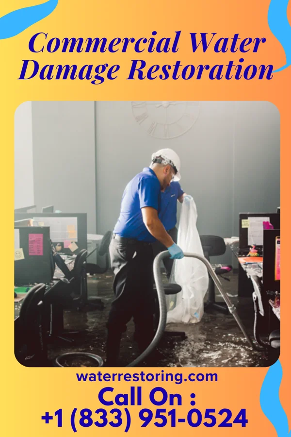 Commercial Water Damage Restoration in Lavina, MT