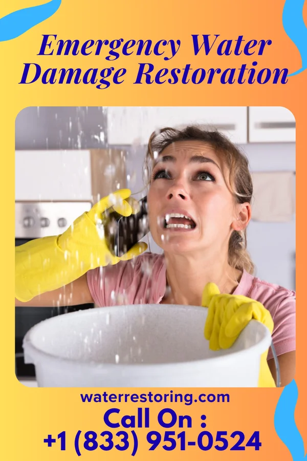 Emergency Water Damage Restoration in Lavina, MT