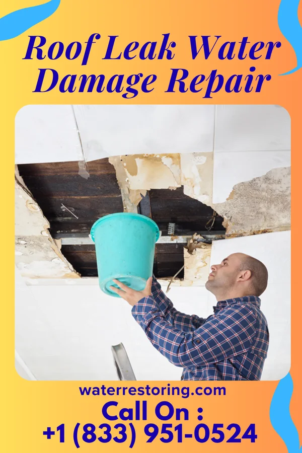 Roof Leak Water Damage Repair in Lavina, MT