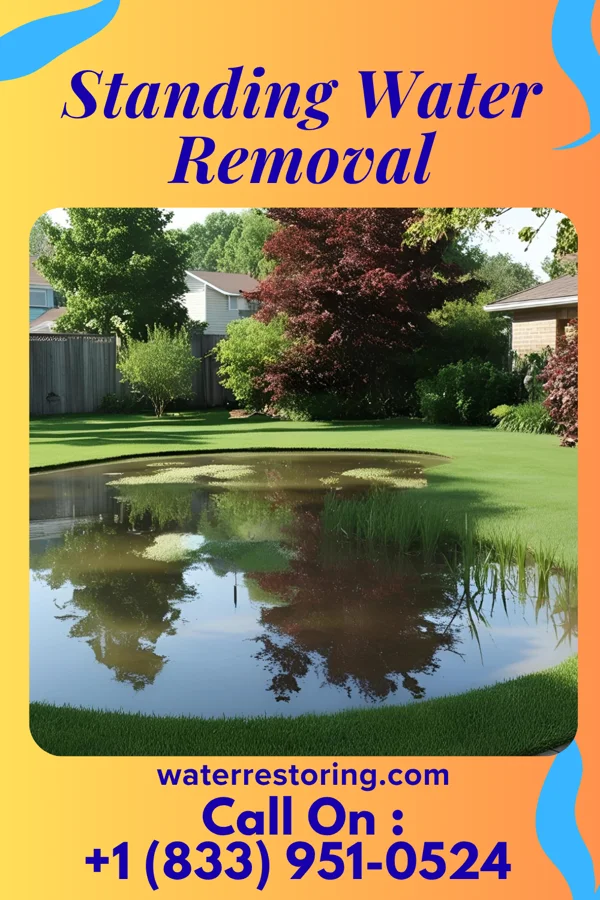Standing Water Removal in Lavina, MT